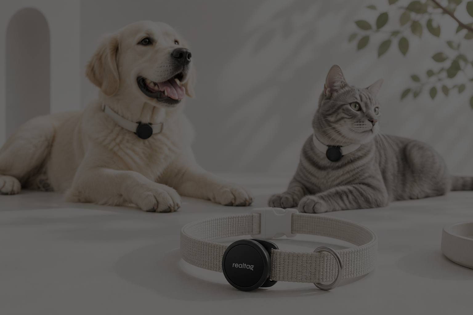 Gardez un œil sur <em>vos animaux</em>.