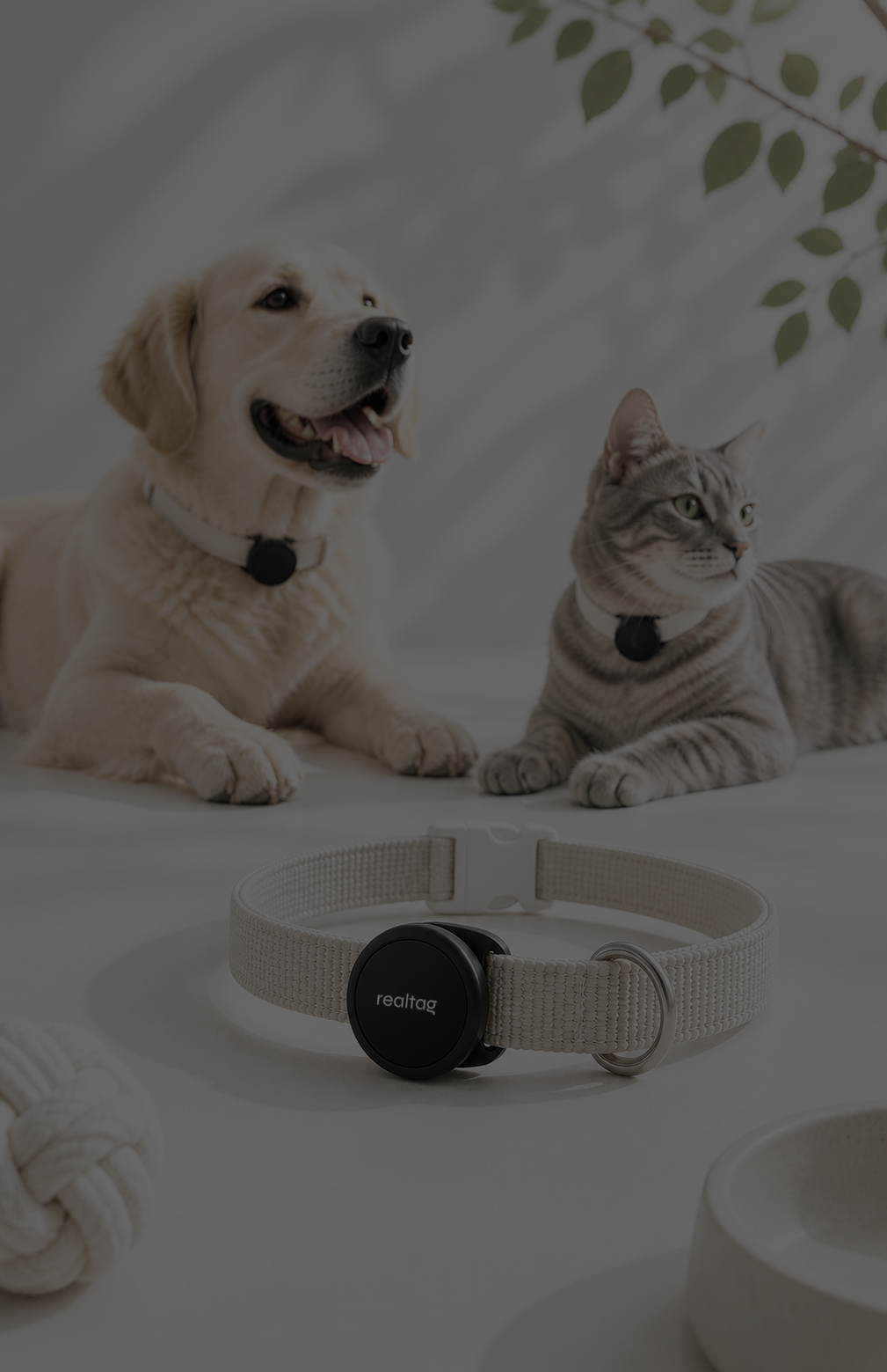 Gardez un œil sur <em>vos animaux</em>.